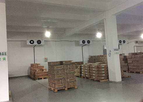 藥品陰涼庫建造標準