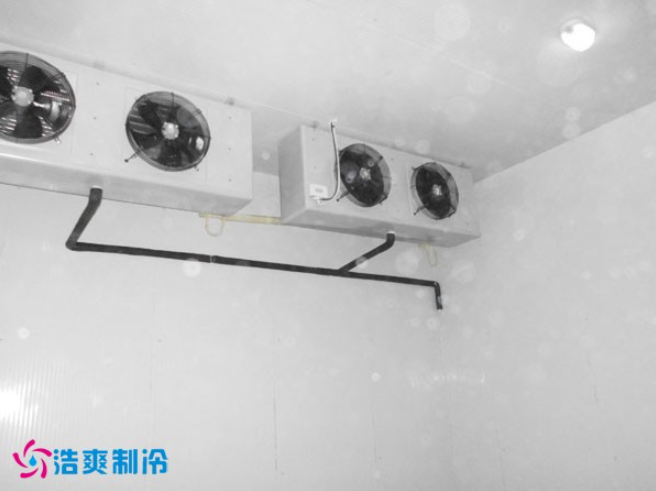 建造-30~-80℃超低溫血漿蛋白冷凍庫需要花費多少價格？