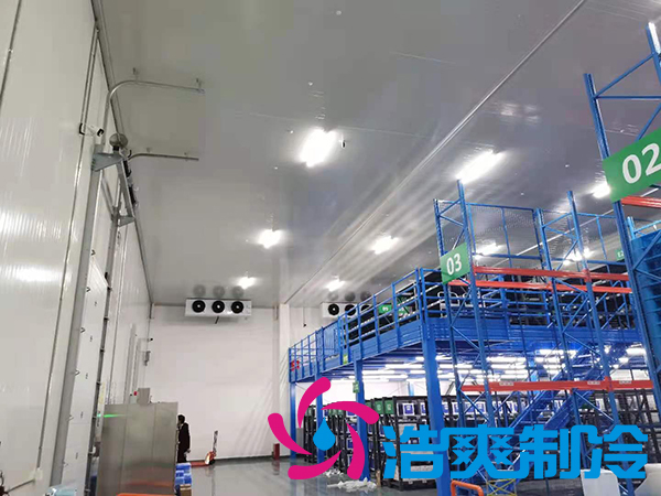  上海1000立方米-18℃生物制品冷凍庫(kù)建造方案