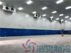  藥廠建造-20℃血漿醫(yī)藥冷庫，血漿醫(yī)藥冷庫安裝定制預(yù)算是多少？